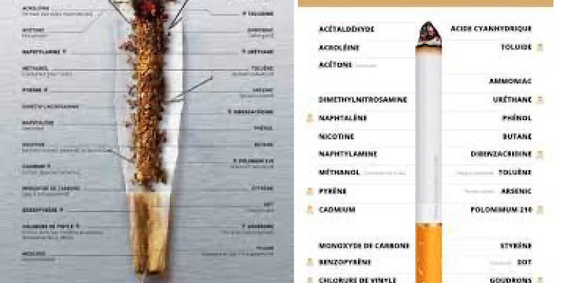 autopsie-cigarette