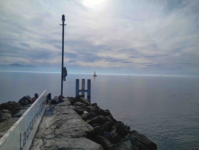 Bateau occasion lakeboat